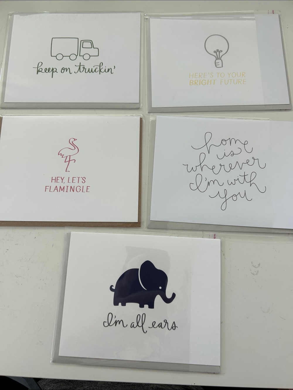 Assorted Illustrated Note Cards - clever play on words set of 5, with envelope